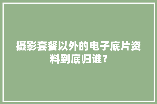 摄影套餐以外的电子底片资料到底归谁？ 摄影套餐以外的电子底片资料到底归谁？ 人工智能