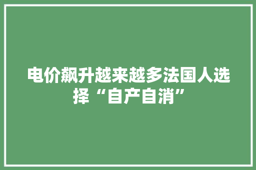 电价飙升越来越多法国人选择“自产自消” 电价飙升越来越多法国人选择“自产自消” 人工智能