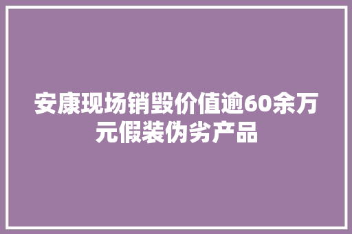 安康现场销毁价值逾60余万元假装伪劣产品 安康现场销毁价值逾60余万元假装伪劣产品 智能家居