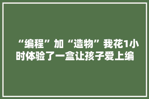 “编程”加“造物”我花1小时体验了一盒让孩子爱上编程的玩具 “编程”加“造物”我花1小时体验了一盒让孩子爱上编程的玩具 智能家居