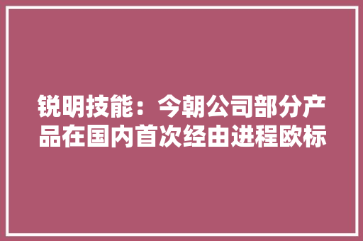 锐明技能：今朝公司部分产品在国内首次经由进程欧标严格认证现已跟几家车厂进行了营业对接 锐明技能：今朝公司部分产品在国内首次经由进程欧标严格认证现已跟几家车厂进行了营业对接 人工智能