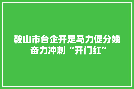 鞍山市台企开足马力促分娩 奋力冲刺“开门红” 鞍山市台企开足马力促分娩 奋力冲刺“开门红” 智能家居