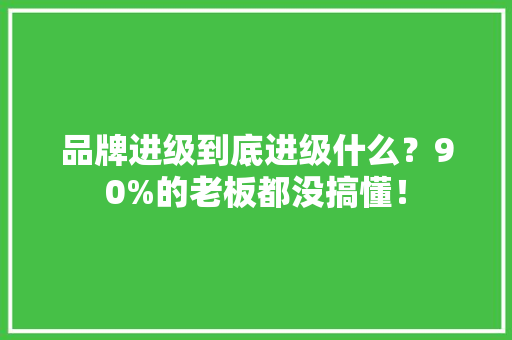 品牌进级到底进级什么？90%的老板都没搞懂！