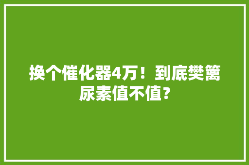换个催化器4万！到底樊篱尿素值不值？