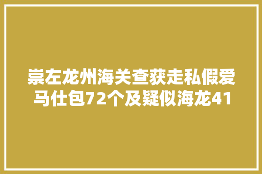崇左龙州海关查获走私假爱马仕包72个及疑似海龙41.5公斤