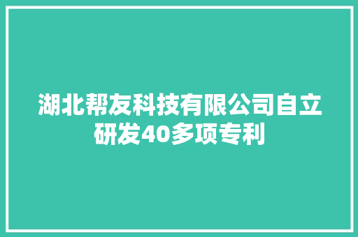 湖北帮友科技有限公司自立研发40多项专利 湖北帮友科技有限公司自立研发40多项专利 人工智能