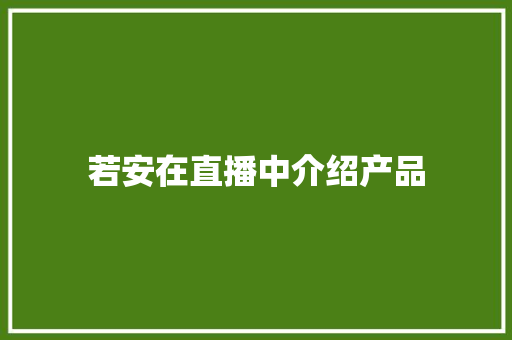若安在直播中介绍产品