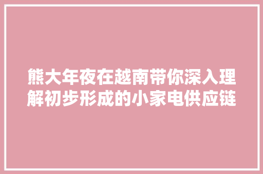熊大年夜在越南带你深入理解初步形成的小家电供应链群