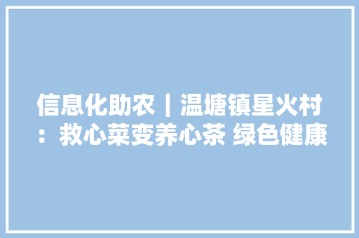 信息化助农｜温塘镇星火村：救心菜变养心茶 绿色健康助力周全小康
