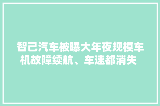 智己汽车被曝大年夜规模车机故障续航、车速都消失 你惊到了吗？
