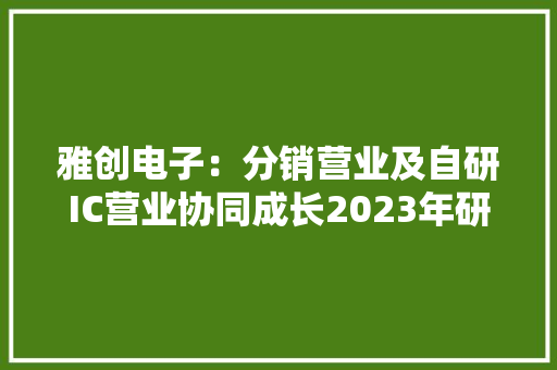 雅创电子：分销营业及自研IC营业协同成长2023年研发费用增加26.28%自研芯片产品品类及型号增加