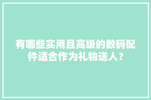 有哪些实用且高级的数码配件适合作为礼物送人？