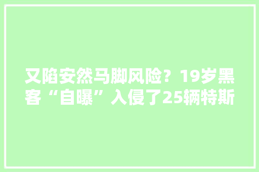 又陷安然马脚风险？19岁黑客“自曝”入侵了25辆特斯拉……