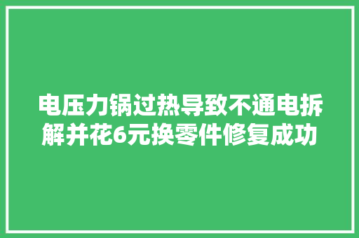 电压力锅过热导致不通电拆解并花6元换零件修复成功