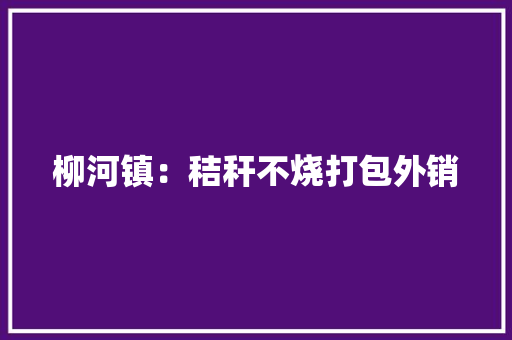 柳河镇：秸秆不烧打包外销