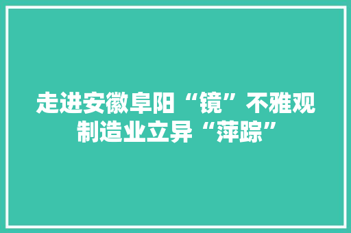 走进安徽阜阳“镜”不雅观制造业立异“萍踪”