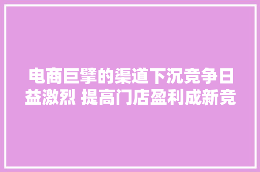 电商巨擘的渠道下沉竞争日益激烈 提高门店盈利成新竞争砝码 电商巨擘的渠道下沉竞争日益激烈 提高门店盈利成新竞争砝码 智能科技