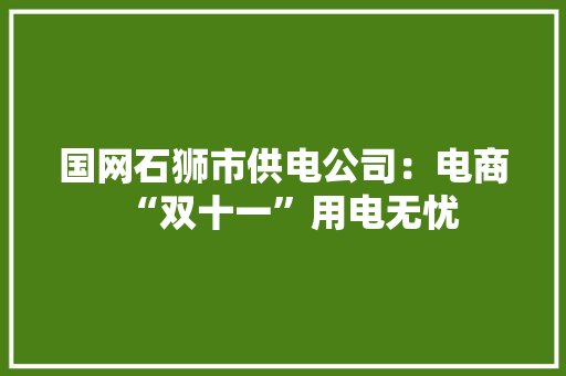 国网石狮市供电公司：电商“双十一”用电无忧