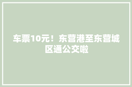 车票10元！东营港至东营城区通公交啦