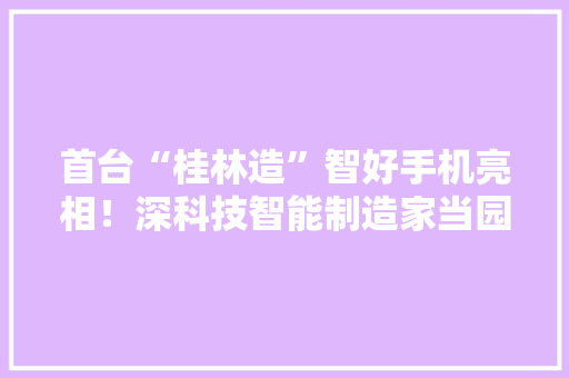 首台“桂林造”智好手机亮相！深科技智能制造家当园一期正式投产