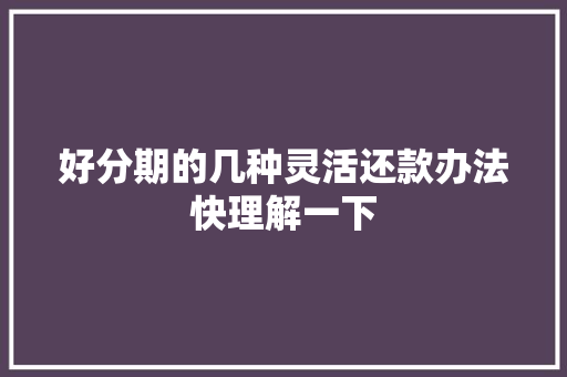 好分期的几种灵活还款办法快理解一下 好分期的几种灵活还款办法快理解一下 智能家居