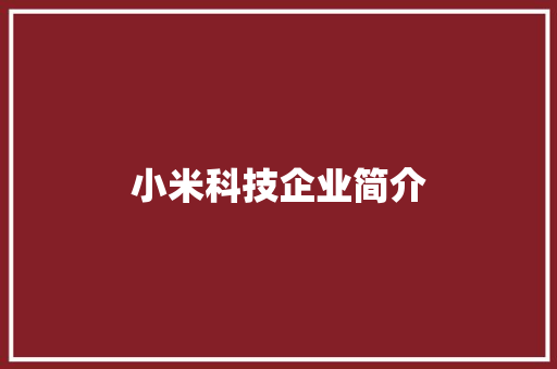 小米科技企业简介