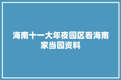 海南十一大年夜园区看海南家当园资料