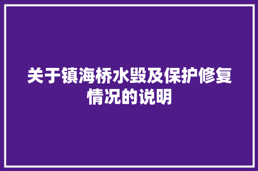 关于镇海桥水毁及保护修复情况的说明