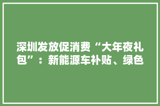 深圳发放促消费“大年夜礼包”：新能源车补贴、绿色家电促销、1000万元“有奖发票”