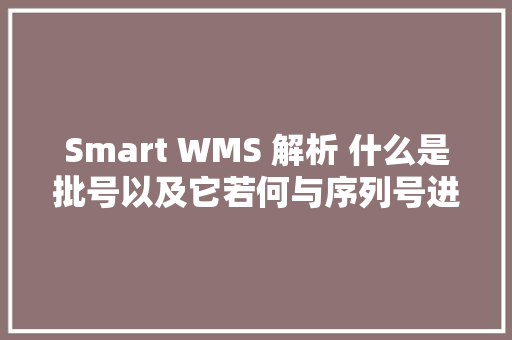 Smart WMS 解析 什么是批号以及它若何与序列号进行比较？ Smart WMS 解析 什么是批号以及它若何与序列号进行比较？ 智能科技