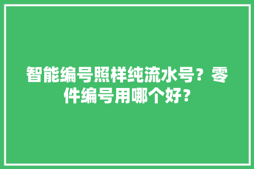 智能编号照样纯流水号？零件编号用哪个好？