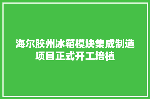 海尔胶州冰箱模块集成制造项目正式开工培植