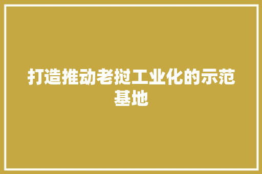 打造推动老挝工业化的示范基地 打造推动老挝工业化的示范基地 智能科技