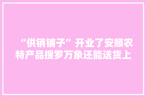 “供销铺子”开业了安顺农特产品搜罗万象还能送货上门