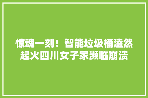 惊魂一刻！智能垃圾桶溘然起火四川女子家濒临崩溃