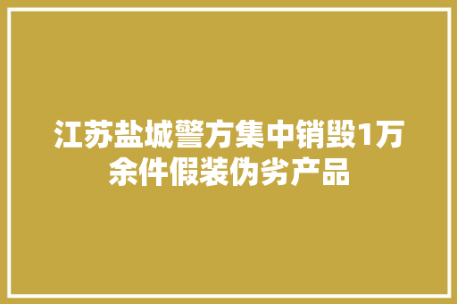 江苏盐城警方集中销毁1万余件假装伪劣产品