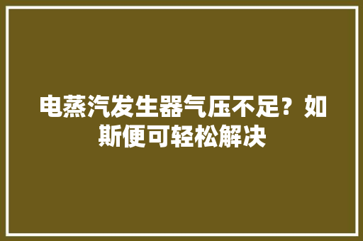 电蒸汽发生器气压不足？如斯便可轻松解决