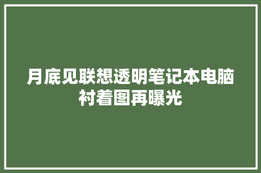 月底见联想透明笔记本电脑衬着图再曝光