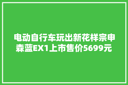 电动自行车玩出新花样宗申森蓝EX1上市售价5699元起