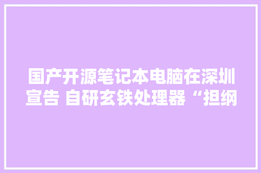 国产开源笔记本电脑在深圳宣告 自研玄铁处理器“担纲”