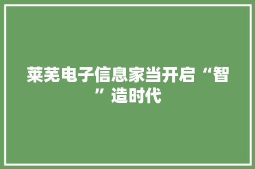 莱芜电子信息家当开启“智”造时代