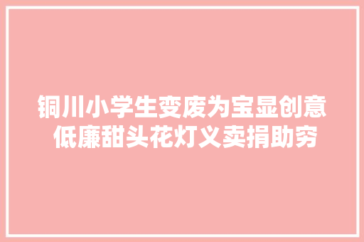铜川小学生变废为宝显创意 低廉甜头花灯义卖捐助穷苦生