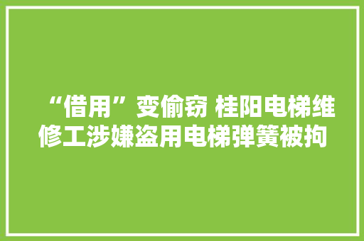 “借用”变偷窃 桂阳电梯维修工涉嫌盗用电梯弹簧被拘