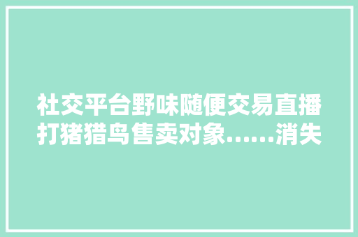 社交平台野味随便交易直播打猪猎鸟售卖对象……消失的野味在网上卷土重来