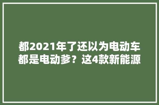 都2021年了还以为电动车都是电动爹？这4款新能源个个身怀特技