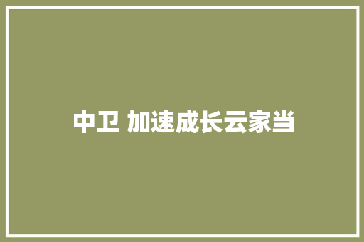 中卫 加速成长云家当