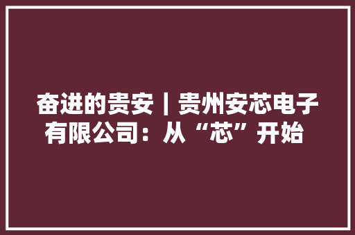 奋进的贵安｜贵州安芯电子有限公司：从“芯”开始 向新出发