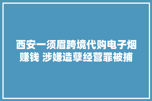 西安一须眉跨境代购电子烟赚钱 涉嫌造孽经营罪被捕