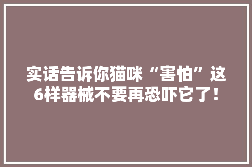 实话告诉你猫咪“害怕”这6样器械不要再恐吓它了！