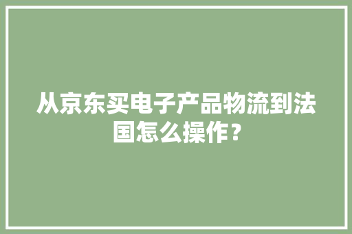 从京东买电子产品物流到法国怎么操作？